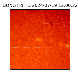 gong - 2024-07-19T12:00:22