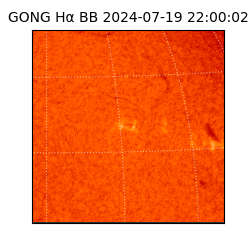 gong - 2024-07-19T22:00:02