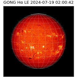 gong - 2024-07-19T02:00:42