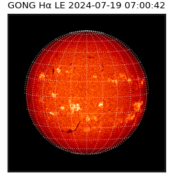 gong - 2024-07-19T07:00:42