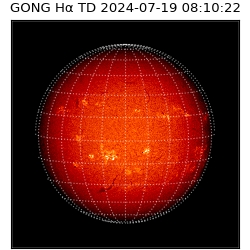 gong - 2024-07-19T08:10:22