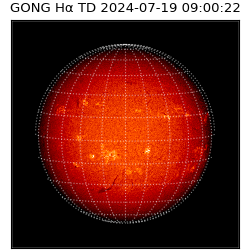 gong - 2024-07-19T09:00:22
