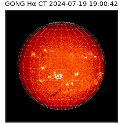 gong - 2024-07-19T19:00:42