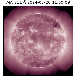 saia - 2024-07-20T11:00:09.633000