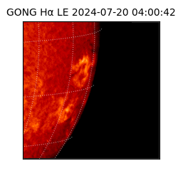 gong - 2024-07-20T04:00:42