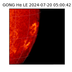 gong - 2024-07-20T05:00:42