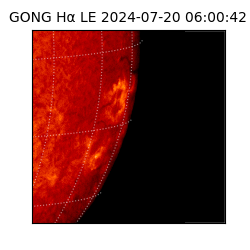 gong - 2024-07-20T06:00:42