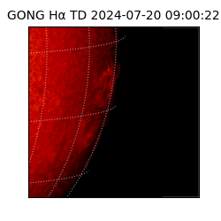 gong - 2024-07-20T09:00:22