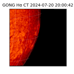 gong - 2024-07-20T20:00:42