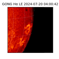 gong - 2024-07-20T04:00:42