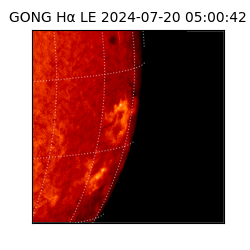 gong - 2024-07-20T05:00:42