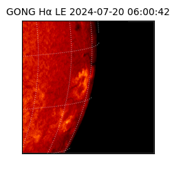 gong - 2024-07-20T06:00:42