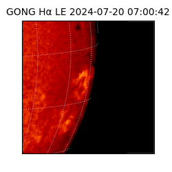 gong - 2024-07-20T07:00:42