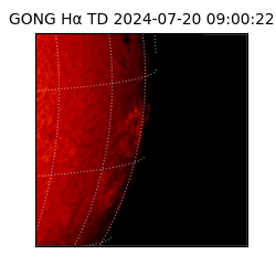 gong - 2024-07-20T09:00:22