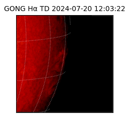 gong - 2024-07-20T12:03:22