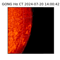 gong - 2024-07-20T14:00:42