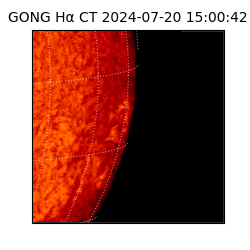 gong - 2024-07-20T15:00:42