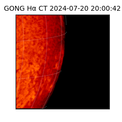 gong - 2024-07-20T20:00:42