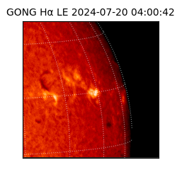 gong - 2024-07-20T04:00:42