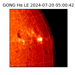 gong - 2024-07-20T05:00:42