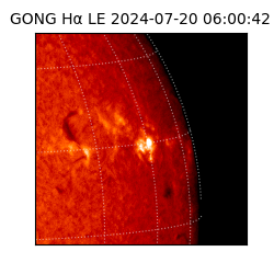 gong - 2024-07-20T06:00:42