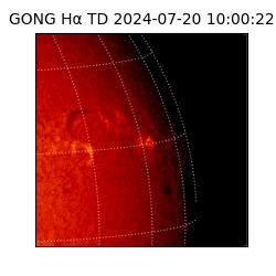 gong - 2024-07-20T10:00:22