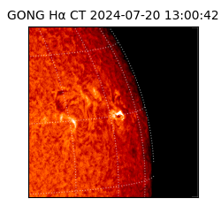 gong - 2024-07-20T13:00:42