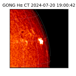 gong - 2024-07-20T19:00:42