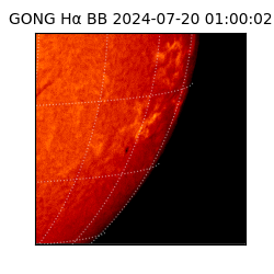 gong - 2024-07-20T01:00:02