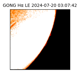 gong - 2024-07-20T03:07:42