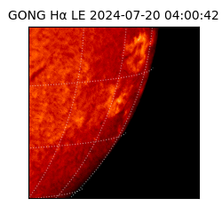 gong - 2024-07-20T04:00:42