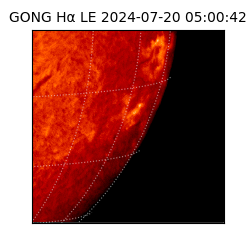 gong - 2024-07-20T05:00:42