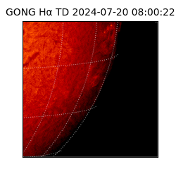 gong - 2024-07-20T08:00:22