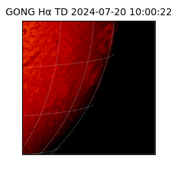 gong - 2024-07-20T10:00:22