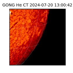 gong - 2024-07-20T13:00:42