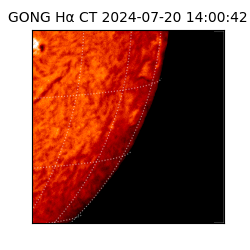 gong - 2024-07-20T14:00:42