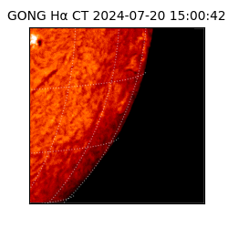 gong - 2024-07-20T15:00:42