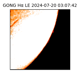 gong - 2024-07-20T03:07:42