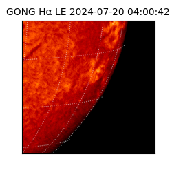 gong - 2024-07-20T04:00:42