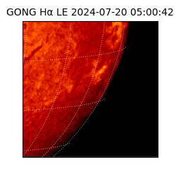 gong - 2024-07-20T05:00:42