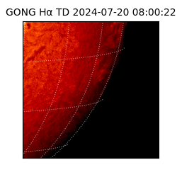 gong - 2024-07-20T08:00:22