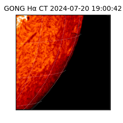 gong - 2024-07-20T19:00:42