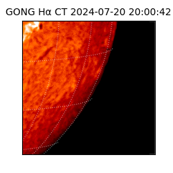 gong - 2024-07-20T20:00:42