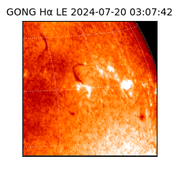 gong - 2024-07-20T03:07:42