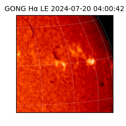 gong - 2024-07-20T04:00:42