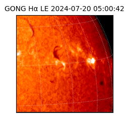 gong - 2024-07-20T05:00:42