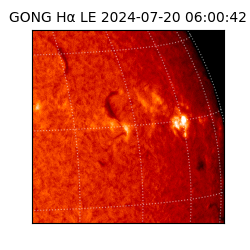 gong - 2024-07-20T06:00:42