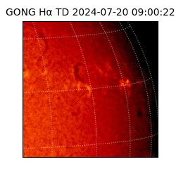 gong - 2024-07-20T09:00:22