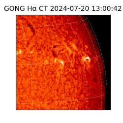 gong - 2024-07-20T13:00:42