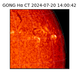 gong - 2024-07-20T14:00:42